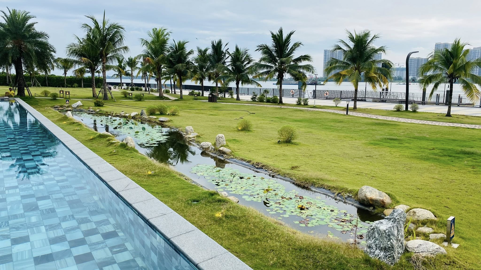 Hồ bơi lớn với hàng dừa xanh mát tại Izumi City
